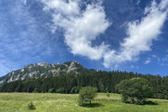 8857451C-6FE7-49C2-B29C-5247720F64C8