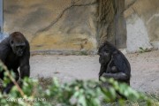 20240818_14.12.15-Canon-EOS-5D-Mark-IV-AC3A8661-Bearbeitet_2400